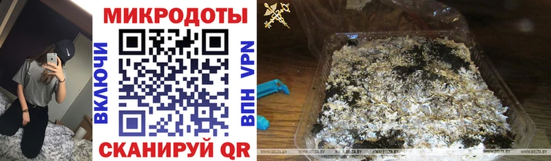 Галлюциногенные грибы Cubensis  Тюмень 